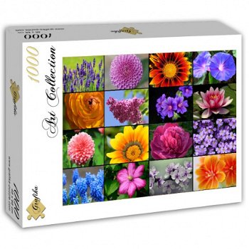 Grafika - Collage Spring Flowers - 1000 Stukjes Nieuw - 2