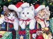 Bits and Pieces - Meowy Christmas - 1000 Stukjes Nieuw - 1 - Thumbnail