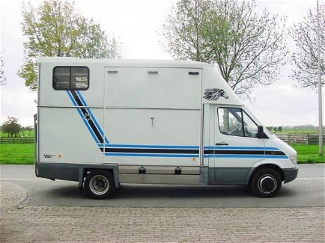 Mercedes-Benz Sprinter - 412D 2 Paards 