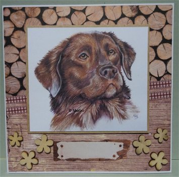 Hondenkaart 22: Labrador Monty - 1