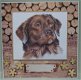 Hondenkaart 22: Labrador Monty - 1 - Thumbnail