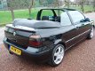 Volkswagen Golf Cabriolet - 1.8 TRENDLINE 16V DOHC UNIEK - 1 - Thumbnail