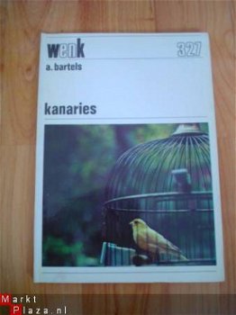 Kanaries door A. Bartels - 1