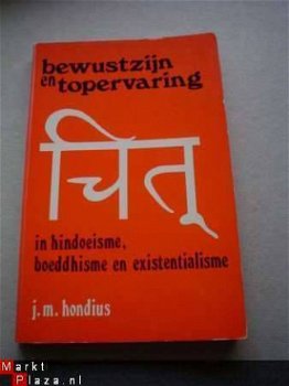 Bewustzijn en topervaring in hindoeïsme, boeddhisme - 1