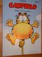 Garfield stripboeken te koop - 1 - Thumbnail