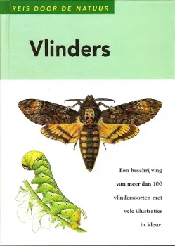 VLINDERS - dag-en nachtvlinders - 0