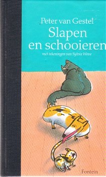 Slapen en schooieren door Peter van Gestel - 1