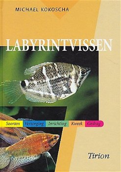 Labyrintvissen - 1