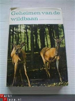 Geheimen van de wildbaan door Hans von Gaudecker - 1