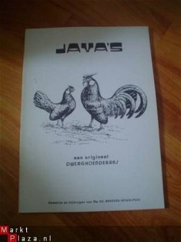 Java's, een origineel dwerghoenderras door Banning-Vogelpoel - 1
