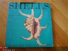 Shells, pleasures and treasures by Roderick Cameron