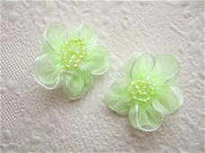 Prachtige organza bloem met kraaltjes ~ 2,5 cm ~ Lime groen