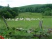 Gîte in de Morvan, Bourgogne, Frankrijk - 4 - Thumbnail