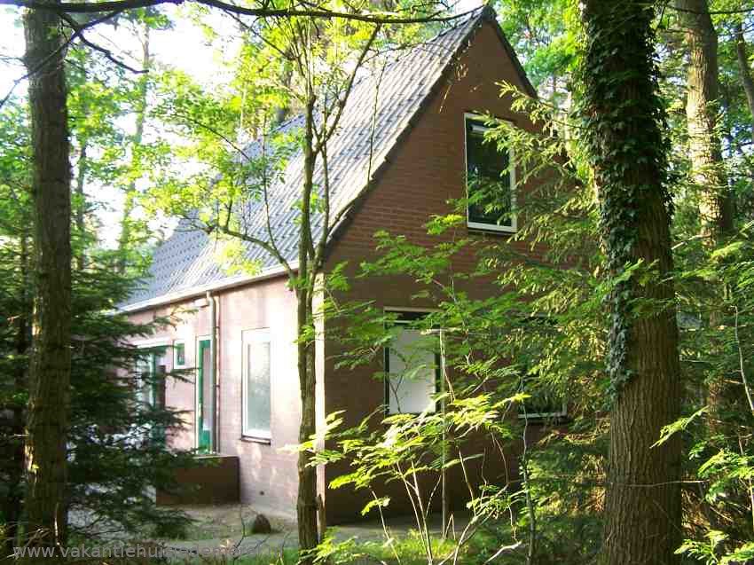 vakantiehuisje in Norg - Afbeelding 2