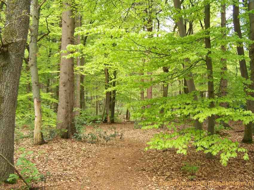 vakantiehuisje in Norg - Afbeelding 5