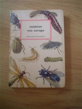 Insekten van Europa door H. Zim & C. Cottam - 1