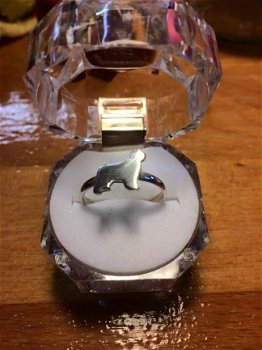 Zilveren Newfoundlander sieraden collectie UNIEK - 2