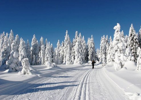 Weekendje Wintersport bij Winterberg en Willingen Sauerland. - 2