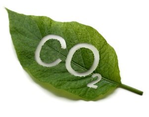 Bespaar op brandstofkosten door waterstof! En minder CO2 ! - 2