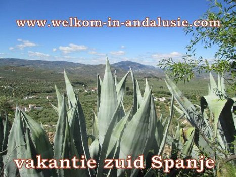 meivakantie 2018 spanje andalusie, villa huren met zwembad - 7