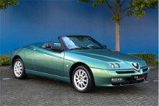 Alfa Romeo Spider - 3.0 V6 Lusso - Momo leer - Oasi Perla