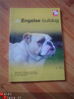 De Engelse bulldog - 1