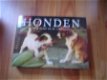 Honden in de kunst en de literatuur door Iain Zaczek - 1 - Thumbnail