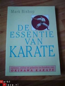 De essentie van karate door Mark Bishop