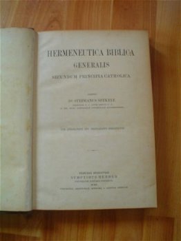 Hermeneutica biblica generalis door S. Szekely - 2