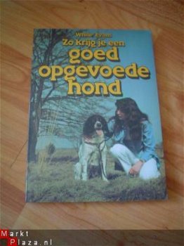 Zo krijg je een goed opgevoede hond door White en Evans - 1