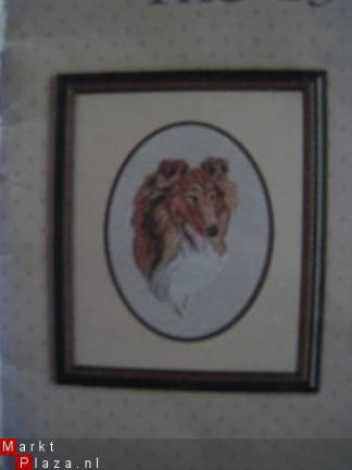 Borduurpatroon Shetland Sheepdog - nr. 1