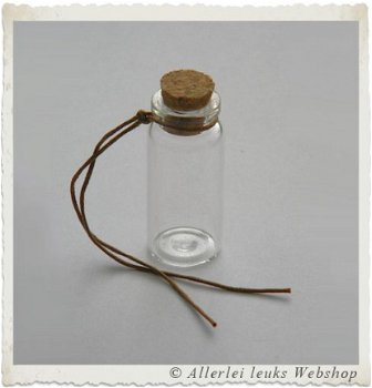 Glazen mini potje flesje met kurkje 49x22mm wensflesjes - 1