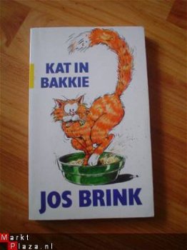 Kat in bakkie door Jos Brink - 1