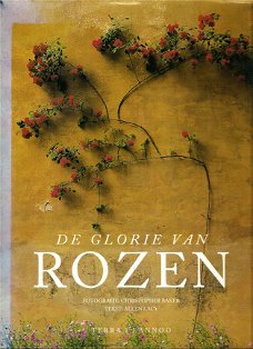 De glorie van ROZEN