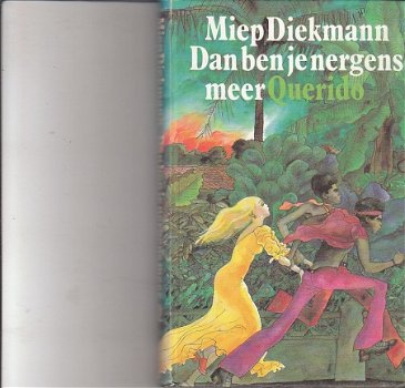 Dan ben je nergens meer door Miep Diekmann - 1