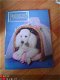 Poodles pictured by Sheila Harrison - 1 - Thumbnail