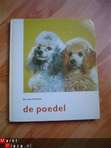 De poedel door Jan van Rheenen