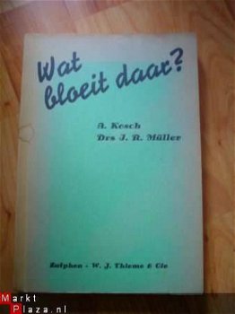 Wat bloeit daar? door Kosch en Müller - 1