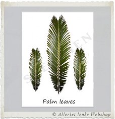 Botanische kaart linnen karton Palm leaves 10.5x15cm