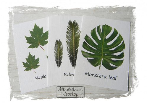 Botanische kaart linnen karton Palm leaves 10.5x15cm - 2