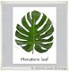 Botanische kaart linnen karton Palm leaves 10.5x15cm - 4 - Thumbnail
