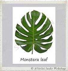 Botanische kaart linnen karton Monstera leaf