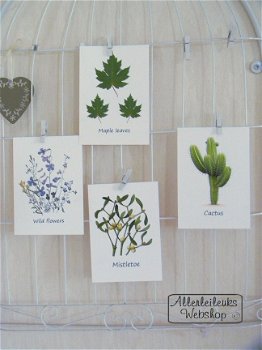 Botanische kaart linnen karton Maple leaves 10.5x15cm - 7
