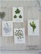 Botanische kaart linnen karton Maple leaves 10.5x15cm - 7 - Thumbnail