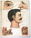 De Hersenen en de Zintuigen van den Mensch (c.1900) Coronel - 2 - Thumbnail