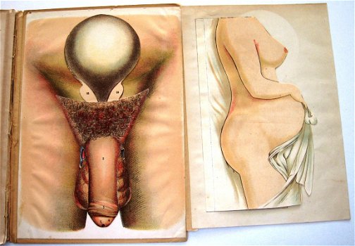 Handboek voor Gehuwden (c1900) Geslachtsorganen Zwangerschap - 5