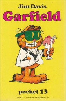 Garfield Pocket 13