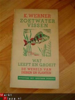 Zoetwatervissen door K. Werner - 1