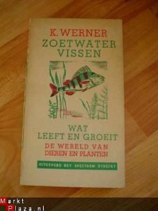 Zoetwatervissen door K. Werner
