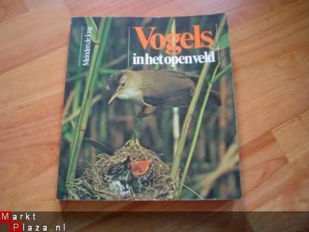 Vogels in het open veld door Meindert de Jong - 1